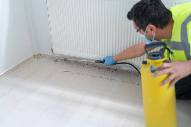 Reliable Holloman Af, NM Pest Control Solutions